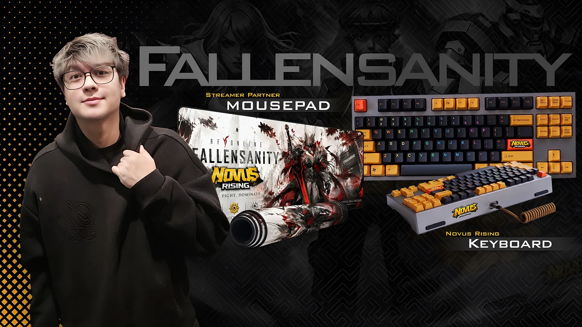 FallenSanity Partnered Streamer Bundle