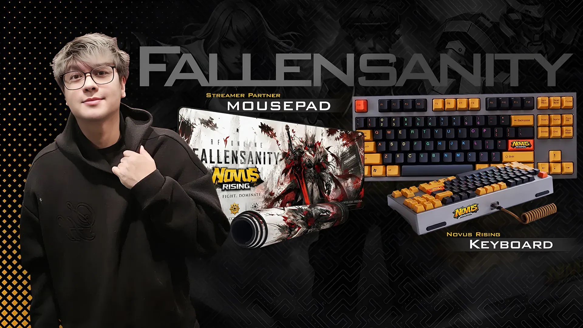 FallenSanity Partnered Streamer Bundle